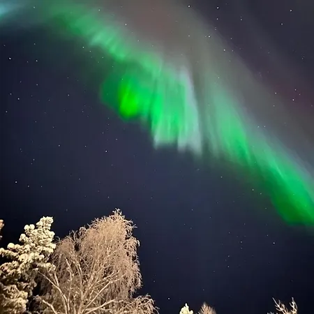 Cosy Berry Loft Апартаменты *