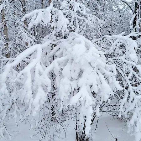 Cosy Berry Loft * Рованиеми