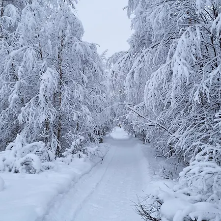 아파트 Cosy Berry Loft